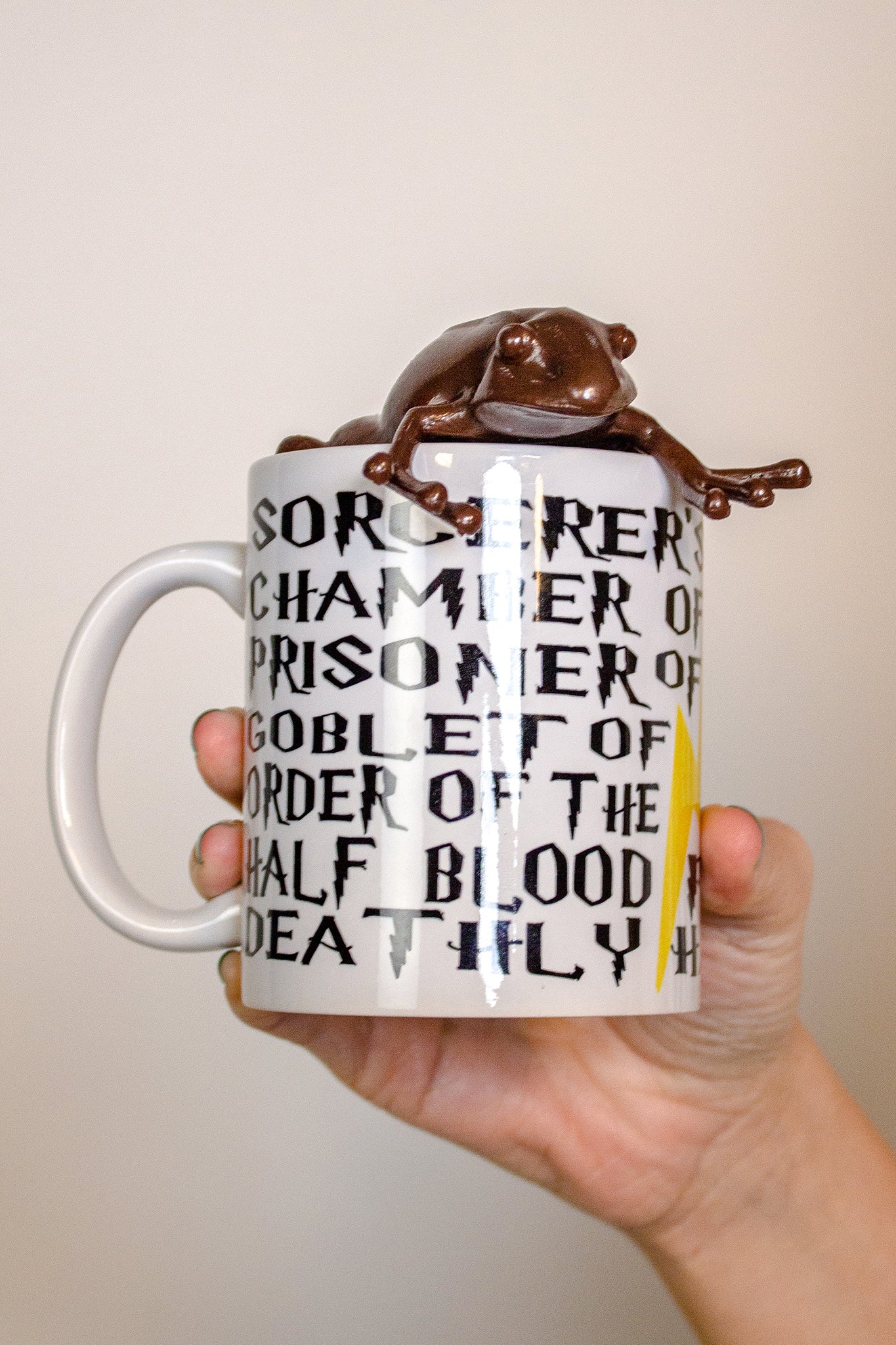 Harry Potter Book Titles Mug